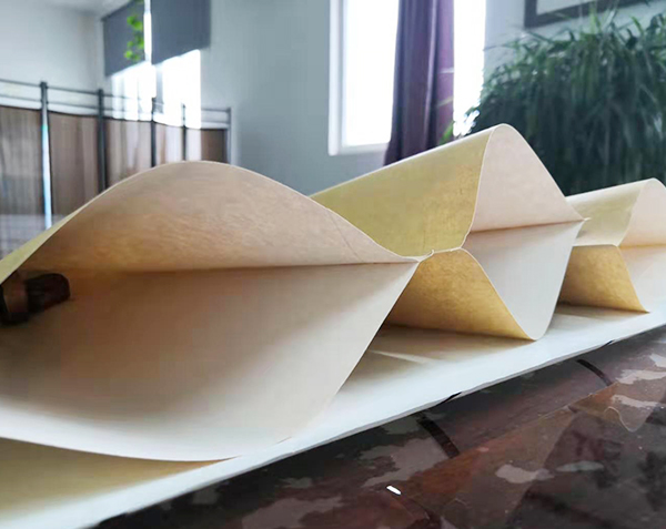 可生物降解紙塑復合膜
